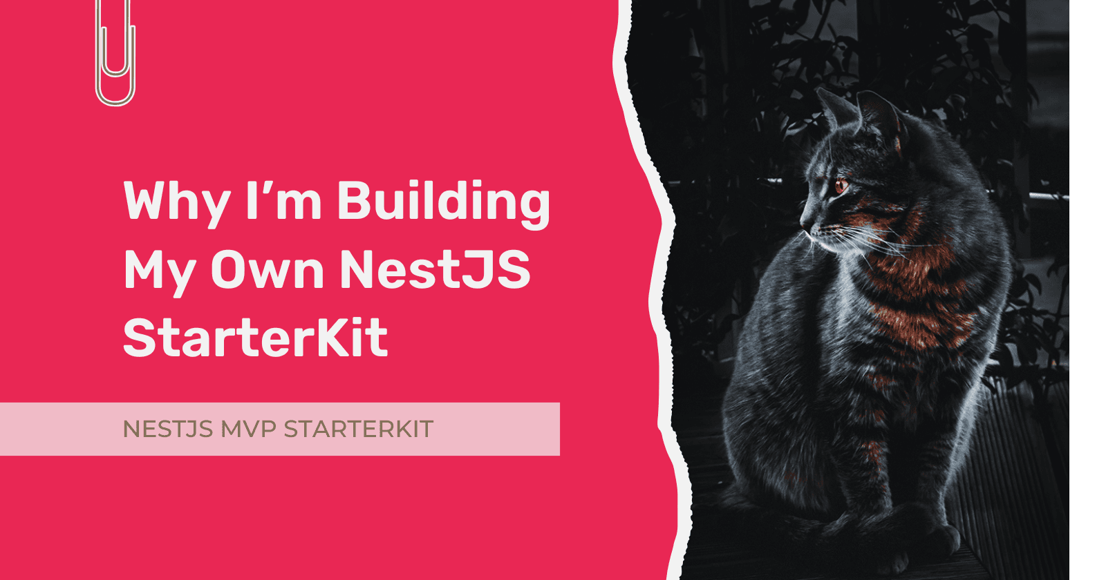 Why I’m Building My Own NestJS StarterKit